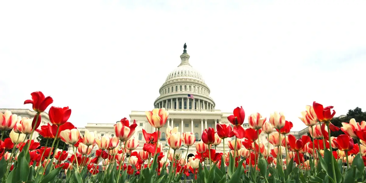 Best Time to Visit Washington DC